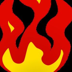 Meet your Posher, Bao